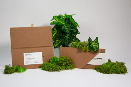 Un porte-cartes kraft brun en papier recyclé, une solution d'emballage discrète, avec une surface lisse, parfaite pour contenir des cartes de visite ou de crédit de manière écologique et professionnelle.