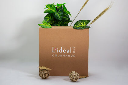 A plain brown cardboard Kraft shipping box with visible creases and wrinkles, perfect for mailing and package deliveries. The box is made of sturdy Kraft material, ensuring the contents inside are protected during transit
